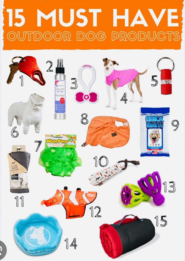 89e67973 320a 4841 A816 Db620d9903b3 AwvJXQ0zo5uo0GWg 4