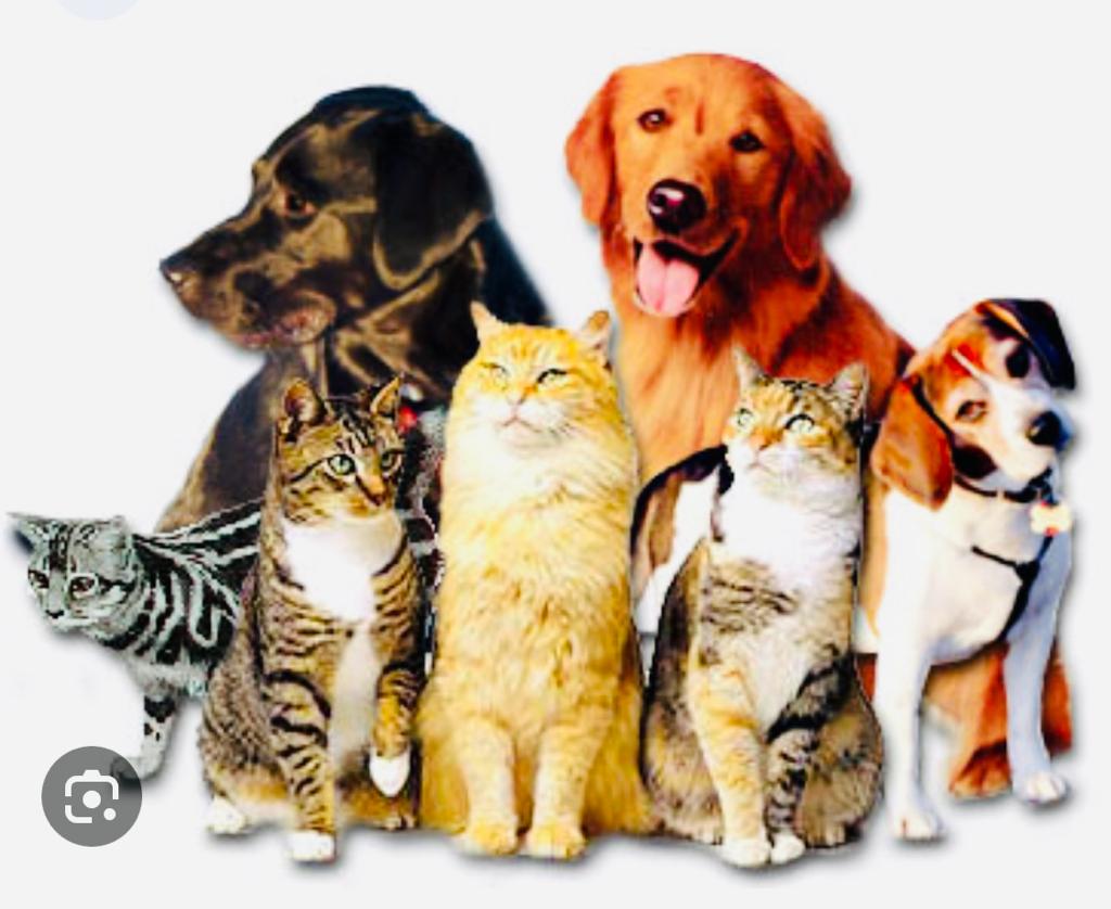 D483745c 0c87 4817 B587 23372ea649b5 YrD6zPOgEwT7B7wA 4