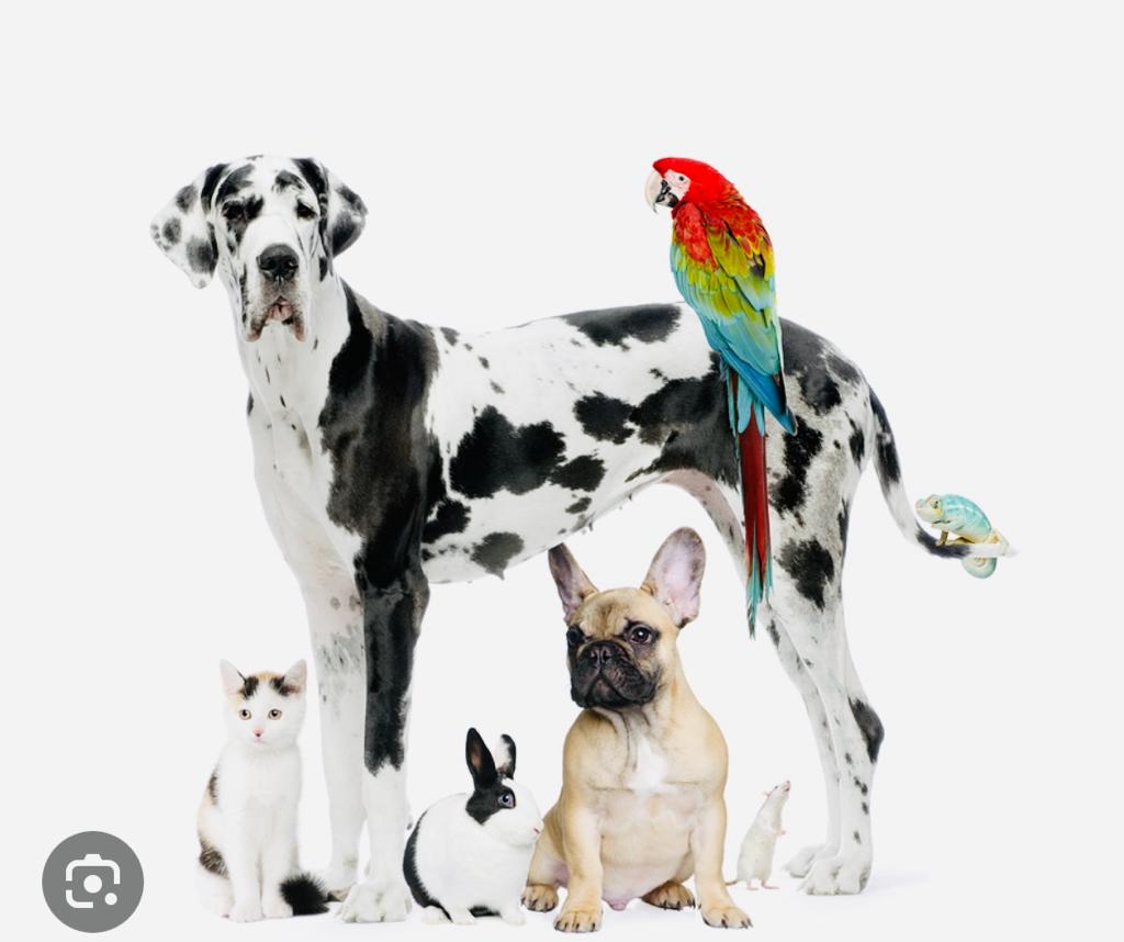 E183e27e D152 40c1 B0c1 D0325ef44e76 Aq26zlx5EEcqvQB7 4