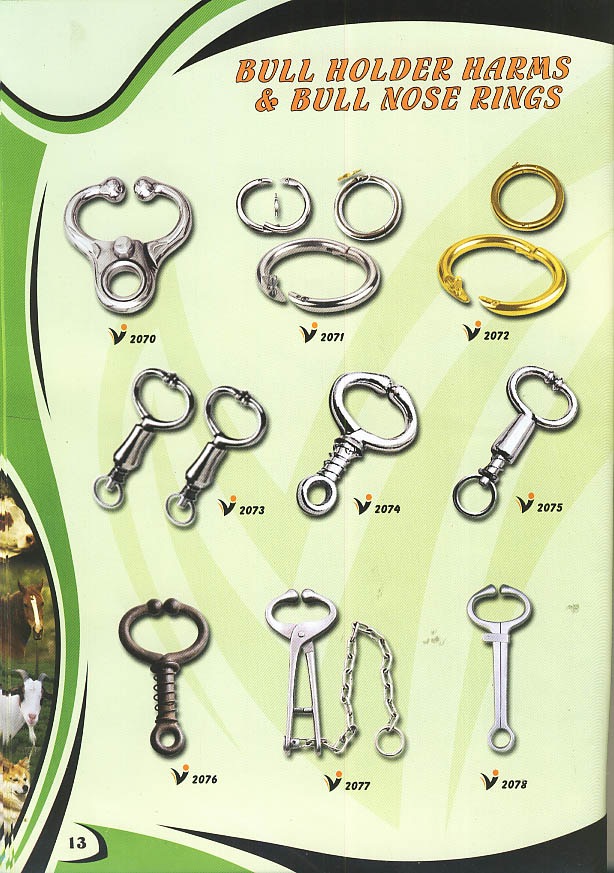 P10 ALpODl8qjzCgqVXB 4