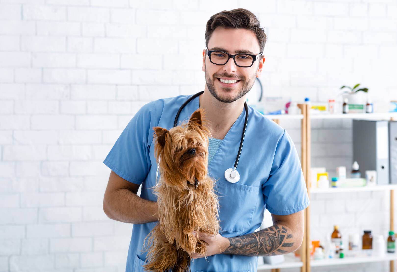 Portrait Of Cheerful Veterinary Doc Holding Cute Y LBJDXDF