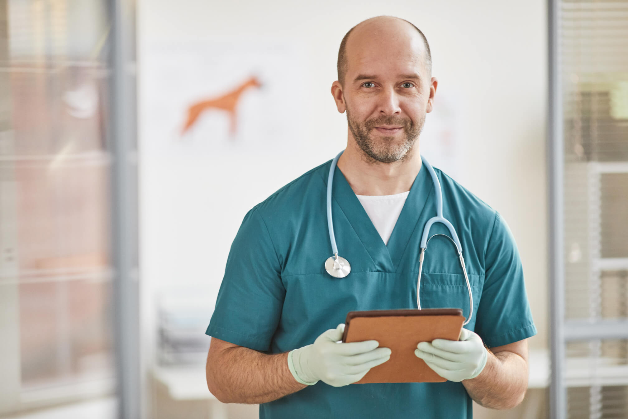 Smiling Veterinarian In Clinic QTCLLG3