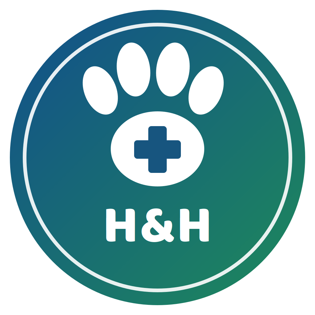 hh logo icon