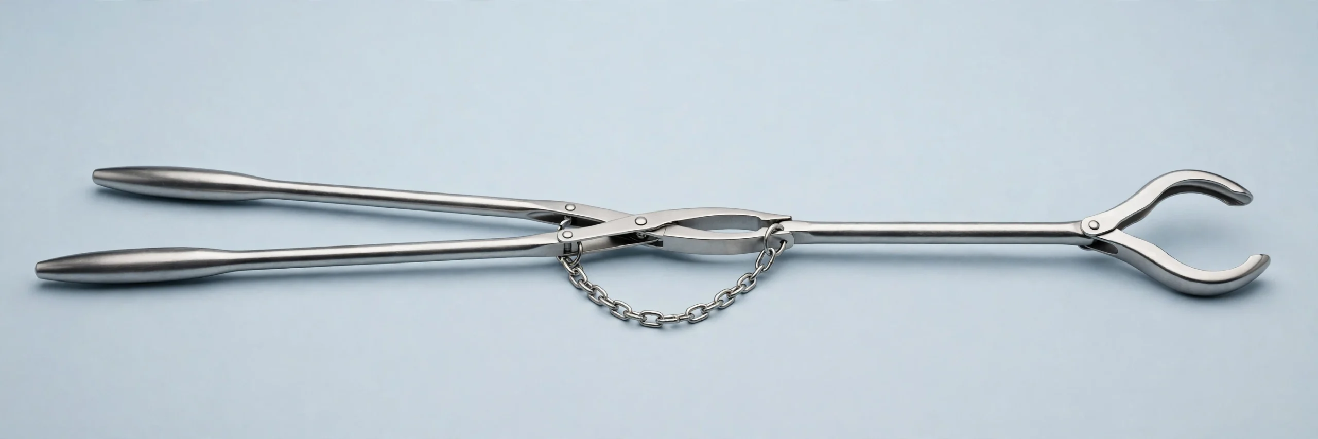 Home — New Design Continental Bull Holder