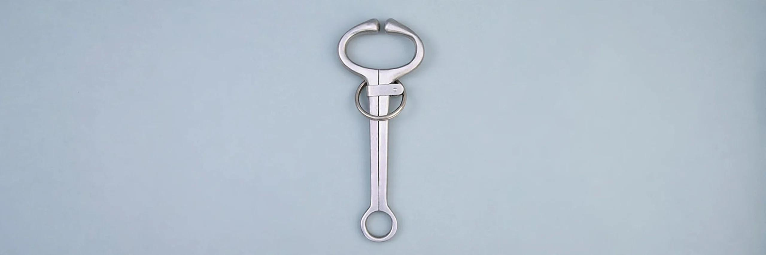 Home — New Design Kendall Bull Holder